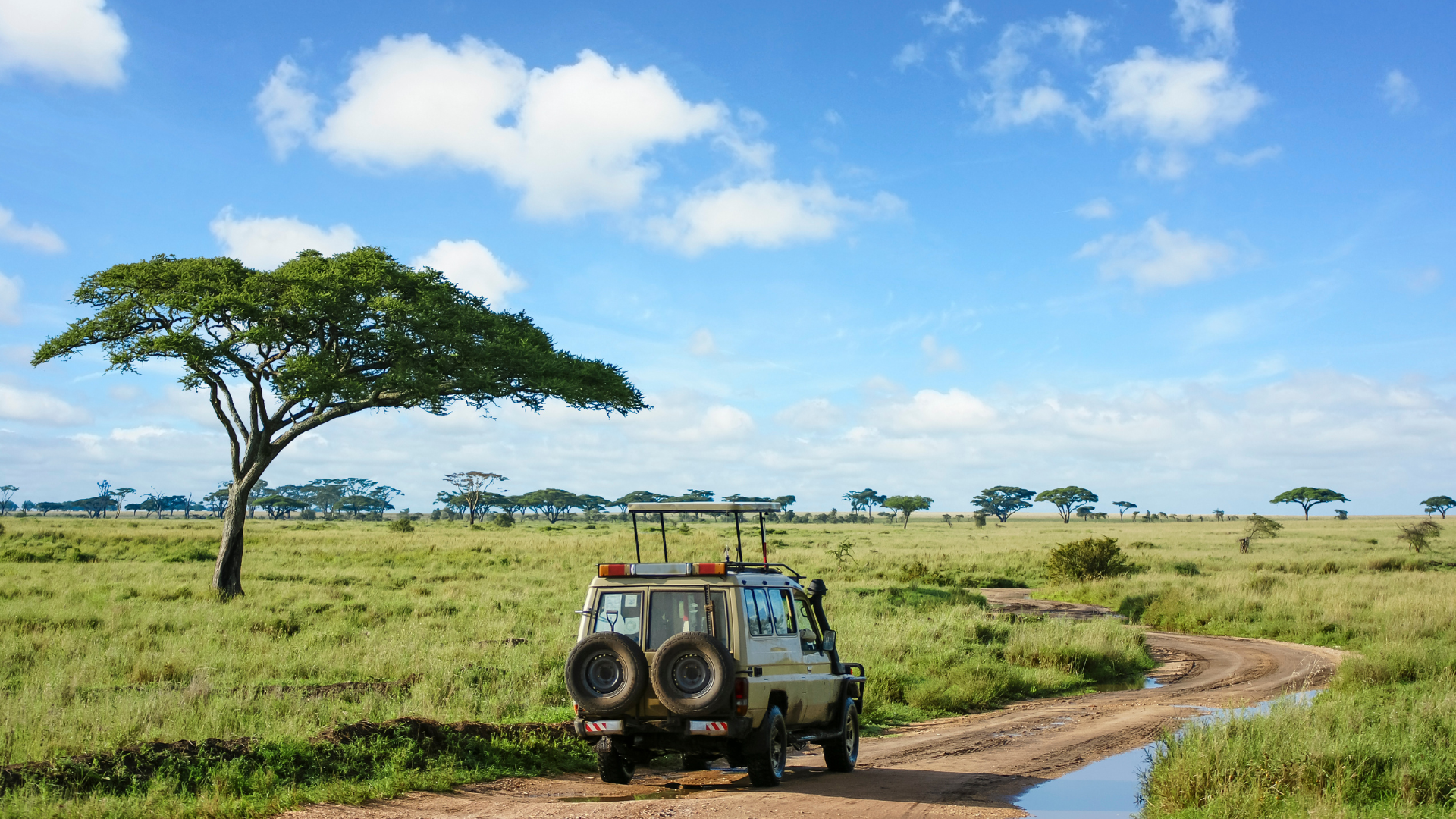 Experiencias exclusivas en Tanzania