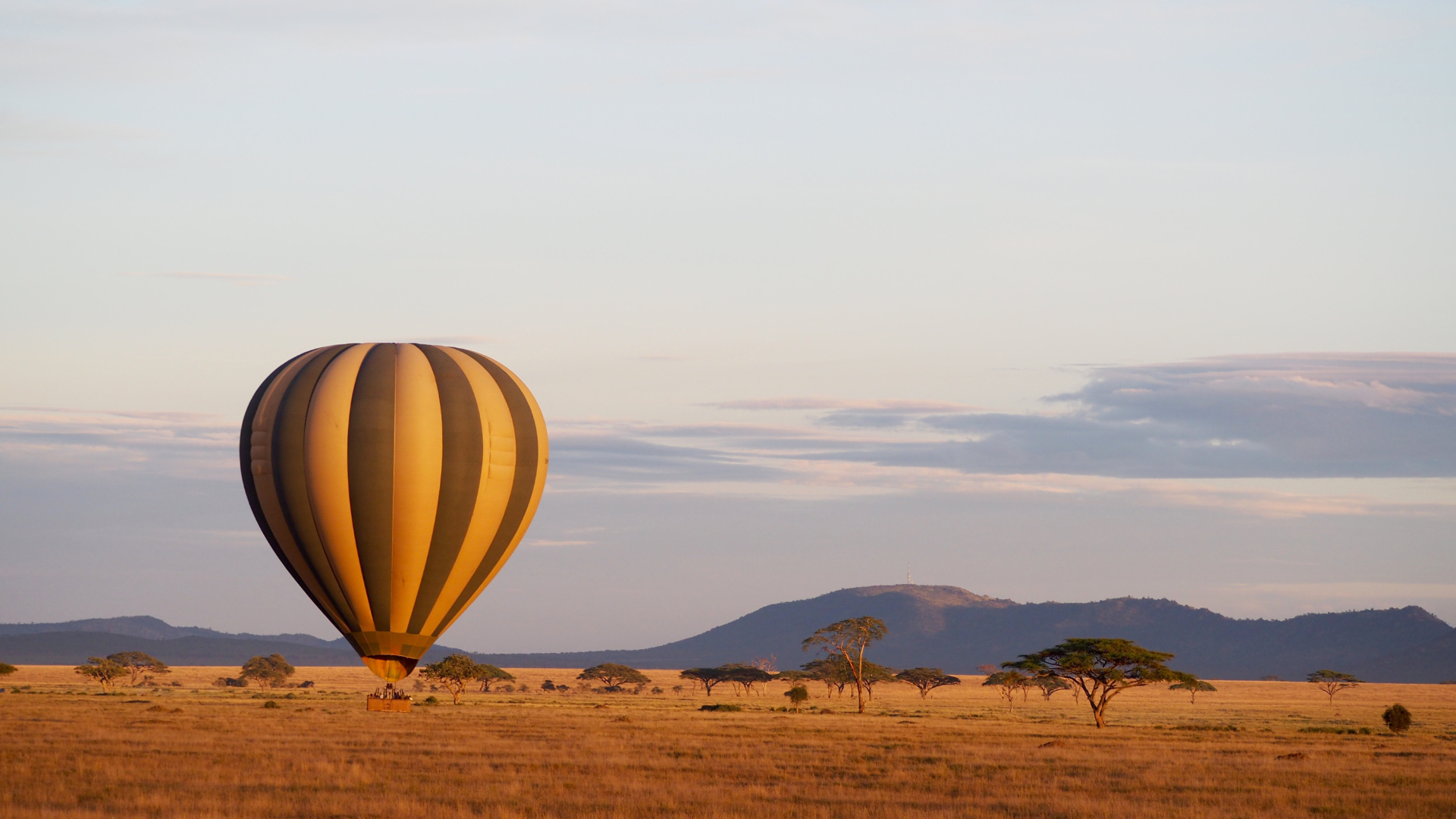 Experiencias exclusivas en Tanzania