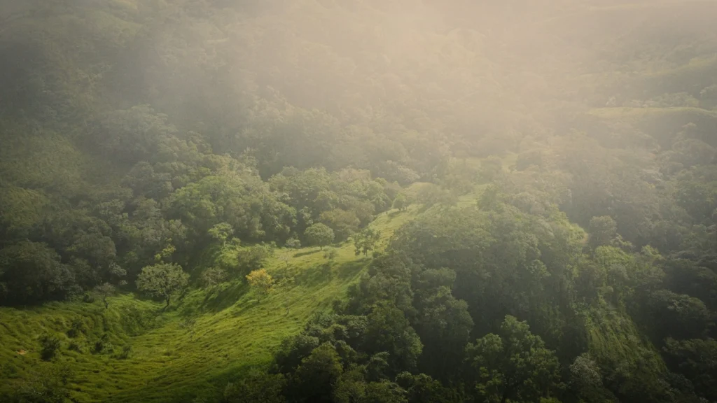 Qué ver en Costa Rica Un viaje a lo mejor de la naturaleza y aventura