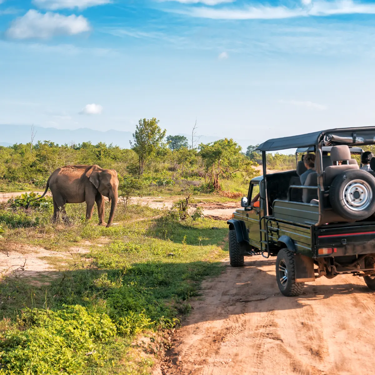 Viajes de lujo África