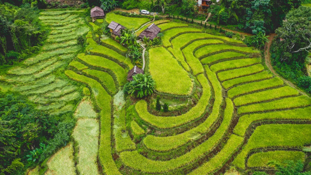 Que hacer en Chiang Mai