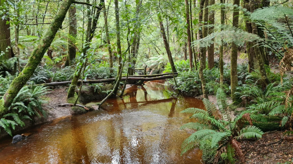 Qué ver en Australia Los Destinos Más Impresionantes